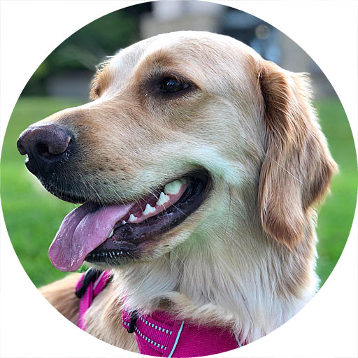 Picture of Pepper Yoo