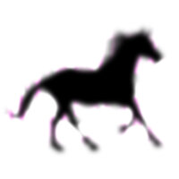 stirfrei profile pic