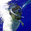 waltermark1976 profile pic