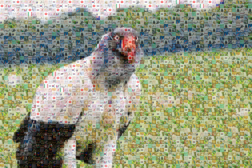 PooPhoto by poophoto