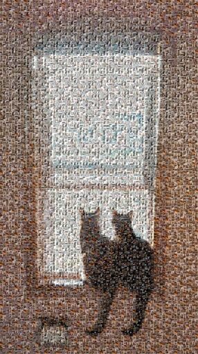 window cats 2 by allorange2