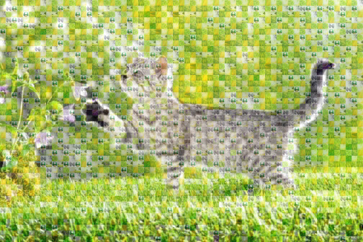 s1001009 by s1001009