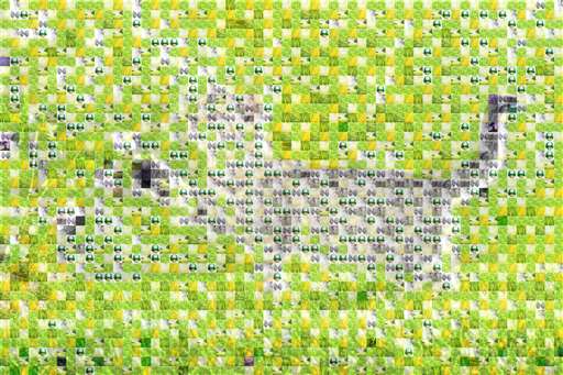 s1001009 by s1001009