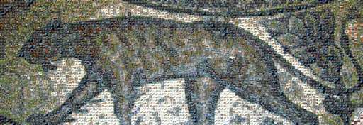 williamrankin 1 by williamrankin