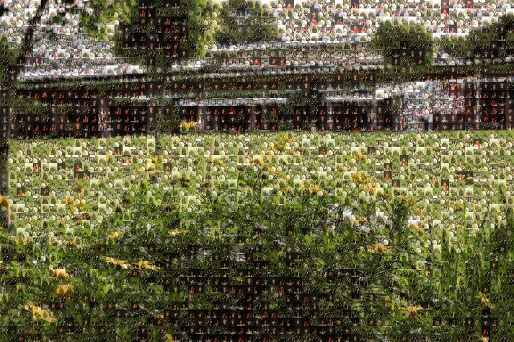 MosaicImg