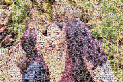 Harshal Jade by 9420110511