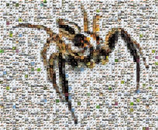 spiidermann 1 by spiidermann