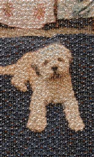 maziarbagheri 1 by maziarbagheri