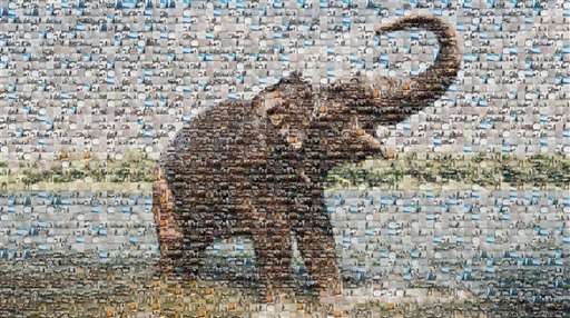 End of Year 2018 by stiritup