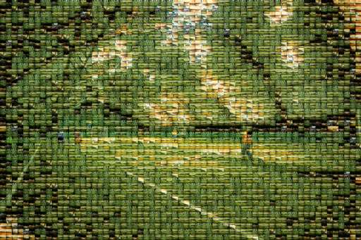 ClubSportivAtlas 1 by clubsportivatlas