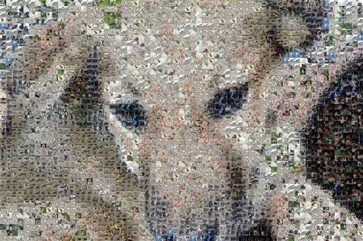 birgittajohansson 2 by birgittajohansson