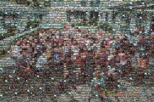 slyflenra 1 by slyflenra