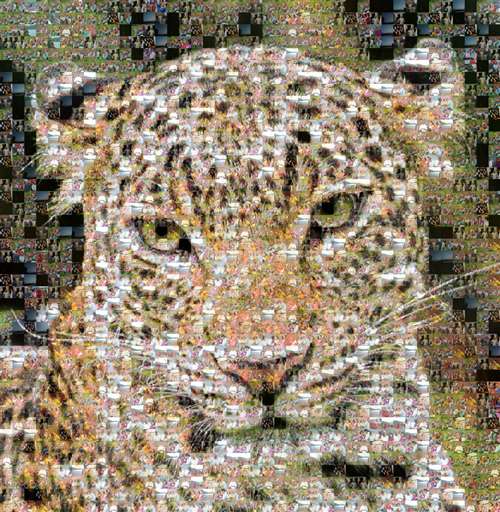 MCT802017 by drsureshsk