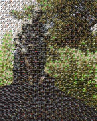 1975 Project by koltendmcdonald