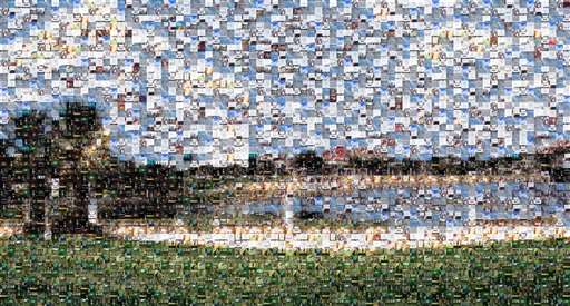 camazorro 1 by camazorro