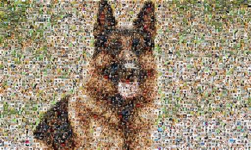 dog mosaic. by rogersalamimo