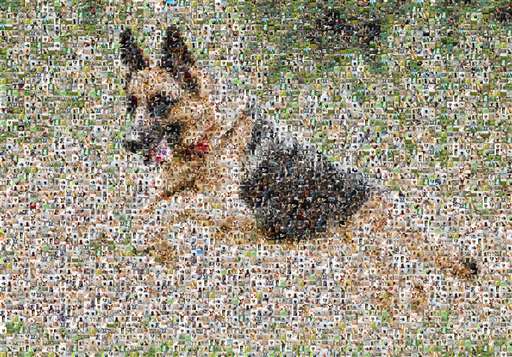 rogersalamimo 2 by rogersalamimo