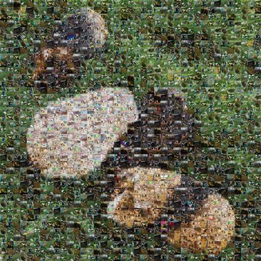 These Little Guineas by samblick126