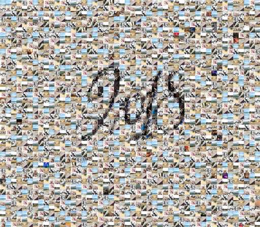 Patka999 2 by patka999