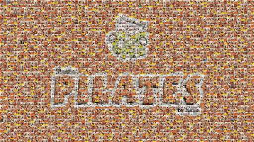 MArceloFioqui 1 by marcelofioqui