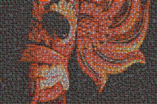 erfghjkm by erfghjkm