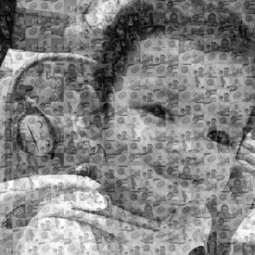 Lysa by khairiahmajid