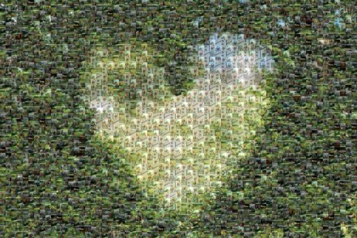 bourgeois by bourgeois