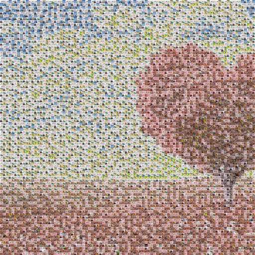 robmom93 by robmom93