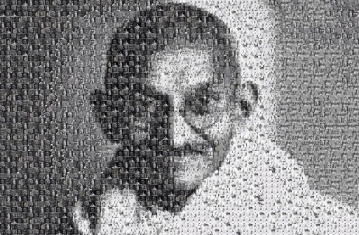 alexplants by alexplants