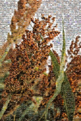 matthwin 1 by matthwin