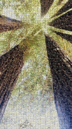 leandrahollingshead 1 by leandrahollingshead