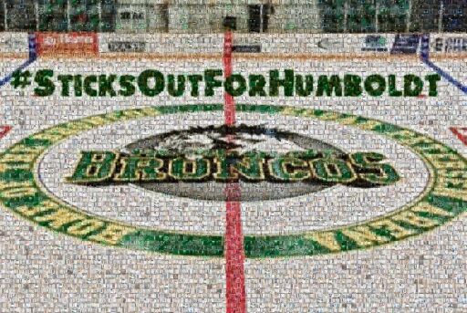 BackyardIceRinksGroupFB  by backyardicerinksgroupfb