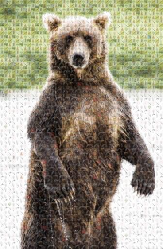 caelinw 2 by caelinw