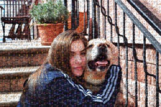 jelenadragas 2 by jelenadragas