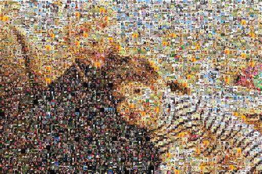 damoregabriele 2 by damoregabriele