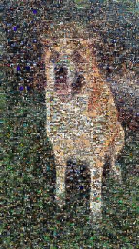 Erinboyd94 1 by erinboyd94