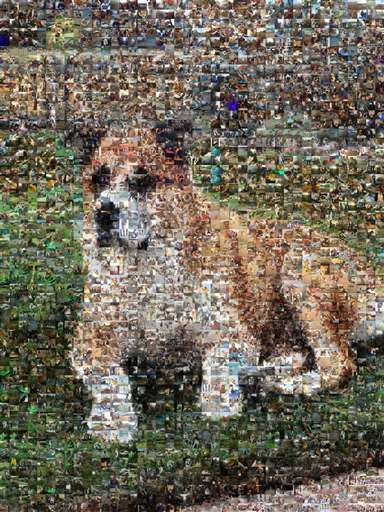 Erinboyd94 3 by erinboyd94