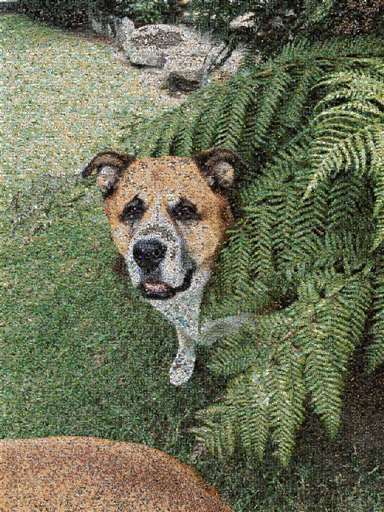 Erinboyd94 2 by erinboyd94