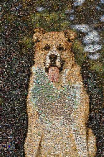 Erinboyd94 7 by erinboyd94