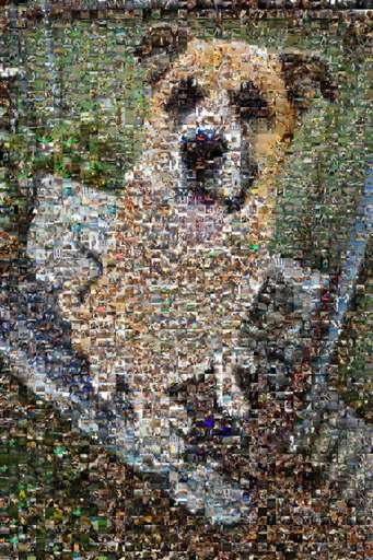 Erinboyd94 5 by erinboyd94