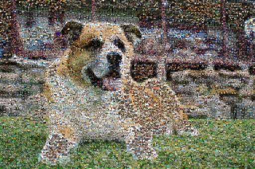 Erinboyd94 6 by erinboyd94