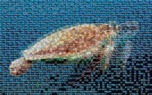 Celestine proyect by 0199757