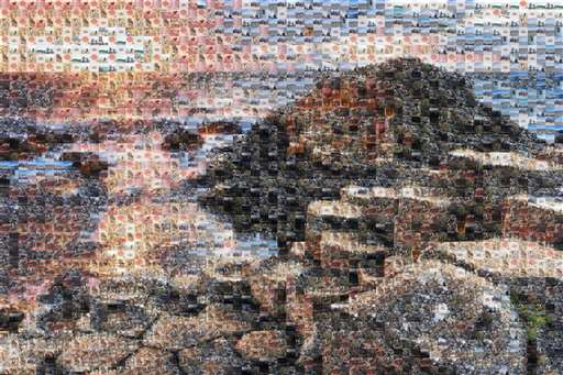 nealhnguyen 1 by nealhnguyen