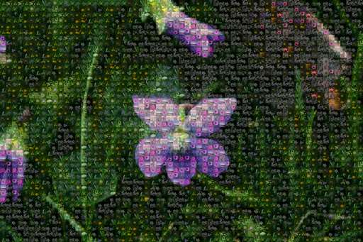 Violet by constitutionkara