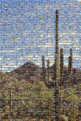 Sagu Social media day by campjordan77