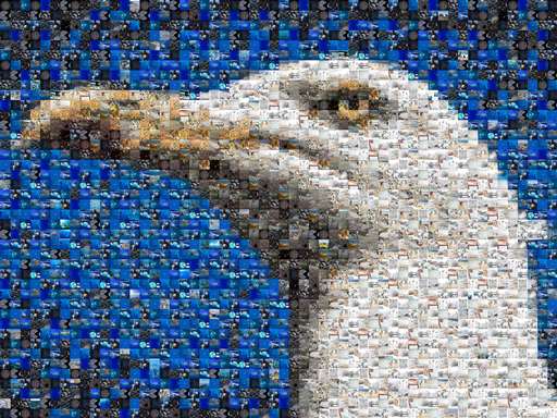 Eco Art Project by yshditlu23