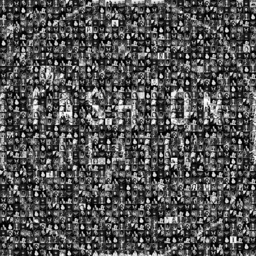 The Fashion Creative Mosaic by shontzphotography