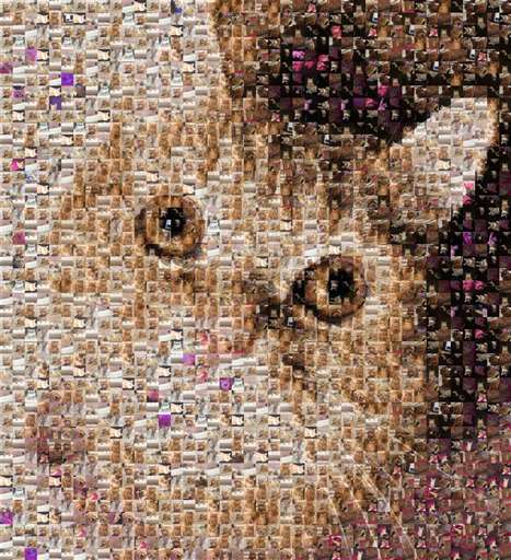 kieraatkins 1 by kieraatkins