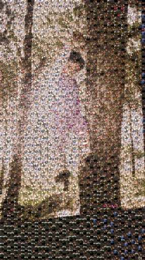 kamelkarameh 1 by kamelkarameh