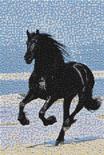 friesian on the beach by horsemosaic789